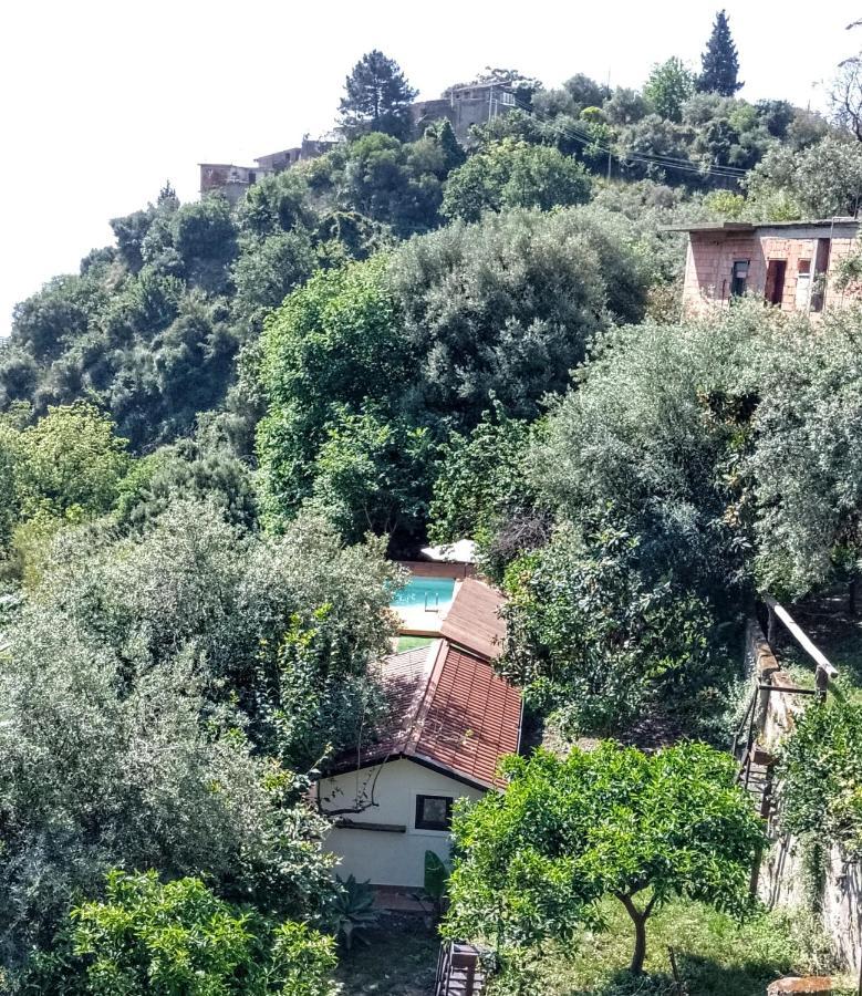Flat With Panoramic Terrace And Private Pool Mt5x3 Appartement